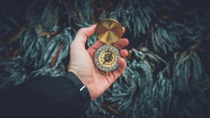 Key Signs to Pivot: Lessons from Entrepreneurs Who Changed Course